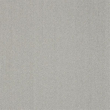 Picture of Philadelphia Commercial by Shaw - Color Accents 24 x 24 Silver