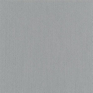 Picture of Philadelphia Commercial by Shaw - Color Accents 24 x 24 Sterling