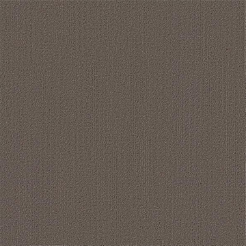 Picture of Philadelphia Commercial by Shaw - Color Accents 24 x 24 Taupe