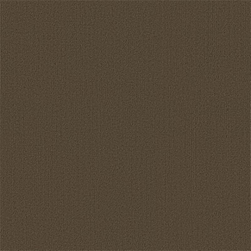 Picture of Philadelphia Commercial by Shaw - Color Accents 24 x 24 Timber