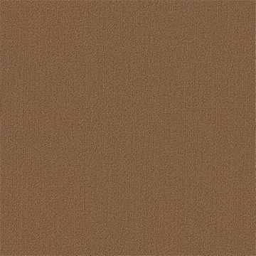 Picture of Philadelphia Commercial by Shaw - Color Accents 24 x 24 Tobacco