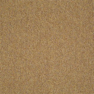 Picture of Philadelphia Commercial by Shaw - Multiplicity 18 x 36 Expansive