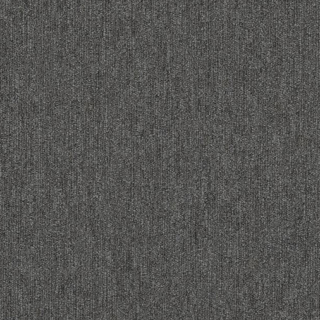 Picture of Philadelphia Commercial by Shaw - Profusion Tons