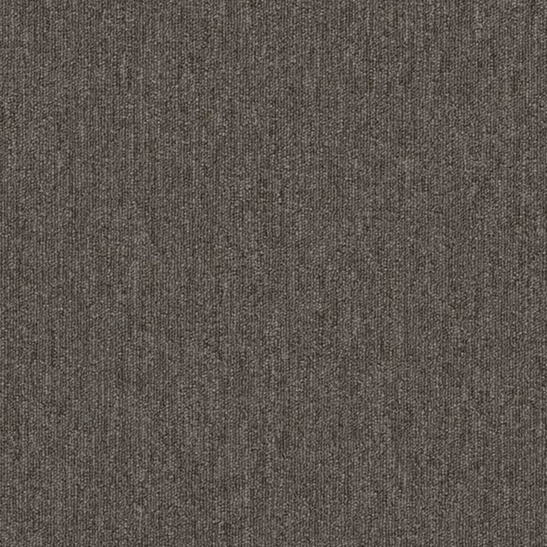 Picture of Philadelphia Commercial by Shaw - Profusion Piles