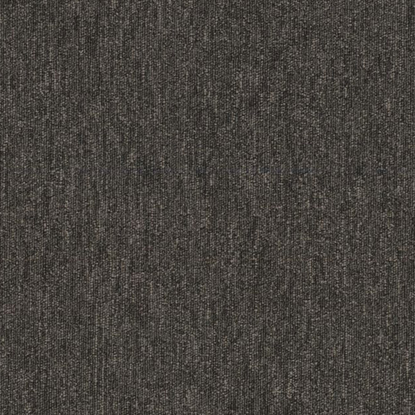 Picture of Philadelphia Commercial by Shaw - Profusion Cluster