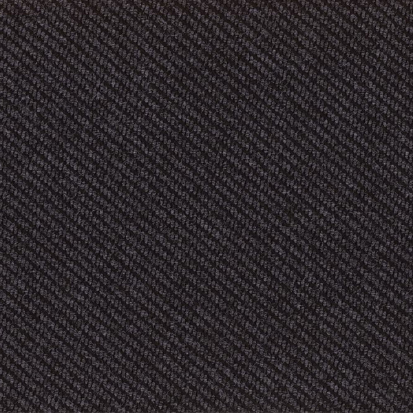 Picture of Philadelphia Commercial by Shaw - Traverse Graphite