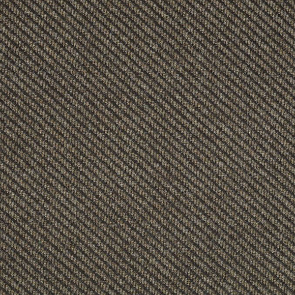 Picture of Philadelphia Commercial by Shaw - Traverse Neutral Ground