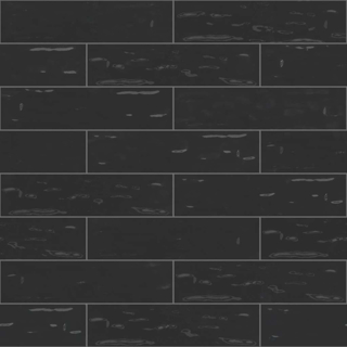 Picture of Shaw Floors - Geoscapes 4 x 16 Black