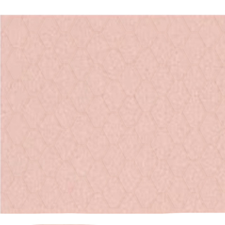 Picture of Shaw Floors - Geoscapes Diamond First Lady Pink