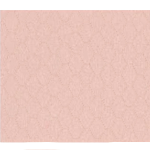Picture of Shaw Floors - Geoscapes Diamond First Lady Pink