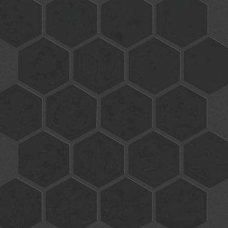 Picture of Shaw Floors - Geoscapes Hexagon Black