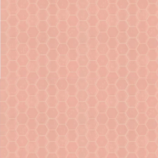 Picture of Shaw Floors - Geoscapes Hexagon First Lady Pink