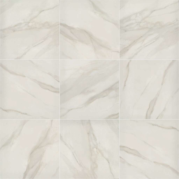 Picture of Shaw Floors - Tranquility 24 x 24 Matte Bianco Covelano