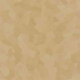 Picture of VPI Corp. - PRT Earthtones Feature Strip 2 x 24 African Granite