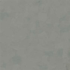 Picture of VPI Corp. - PRT Earthtones Feature Strip 2 x 24 Alberta Platinum