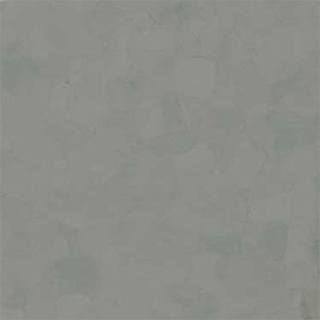 Picture of VPI Corp. - PRT Earthtones Feature Strip 2 x 24 Alberta Platinum