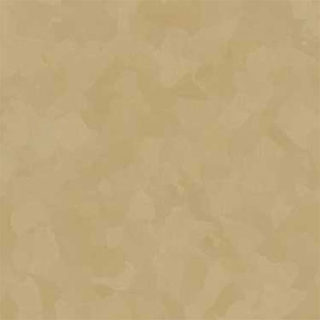 Picture of VPI Corp. - PRT Earthtones Feature Strip 2 x 24 Australian Quartz