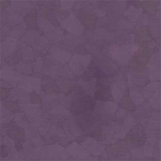 Picture of VPI Corp. - PRT Earthtones Feature Strip 2 x 24 Aztec Amethyst