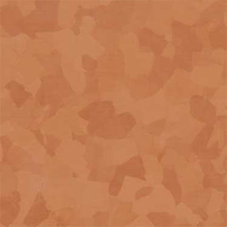 Picture of VPI Corp. - PRT Earthtones Feature Strip 2 x 24 Mexican Fire Opal