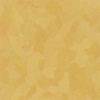 Picture of VPI Corp. - PRT Earthtones Feature Strip 3 x 36 Grand Canyon Yellow