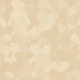 Picture of VPI Corp. - PRT Earthtones Feature Strip 3 x 36 Inca Stone