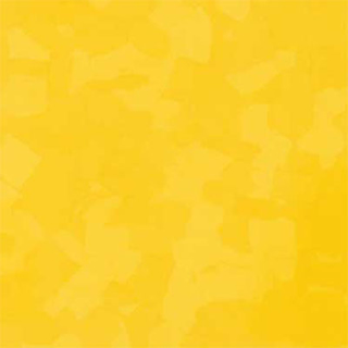 Picture of VPI Corp. - PRT Earthtones Feature Strip 3 x 36 Lemon Rock