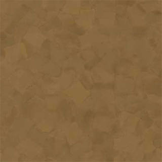 Picture of VPI Corp. - PRT Earthtones Feature Strip 3 x 36 Salvador Brownstone