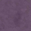 Picture of VPI Corp. - PRT Earthtones Feature Strip 5 x 24 Aztec Amethyst