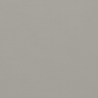 Picture of Johnsonite - Solid Colors Leather Silver Grey