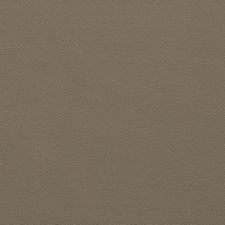 Picture of Johnsonite - Solid Colors Leather Wetlands