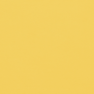 Picture of Johnsonite - Solid Colors Leather Canary
