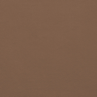 Picture of Johnsonite - Solid Colors Leather Rusty Nail