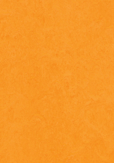 Picture of Forbo - Marmoleum Cinch Loc Seal 12 x 36 Marigold