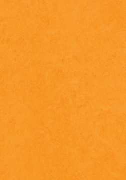 Picture of Forbo - Marmoleum Cinch Loc Seal 12 x 36 Marigold