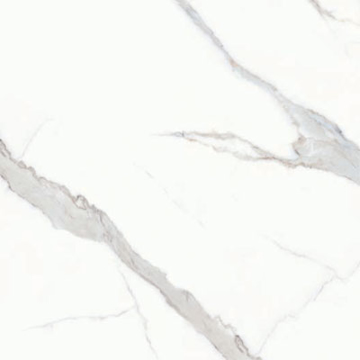 Picture of SantAgostino - Themar 24 x 24 Matte Statuario Venato