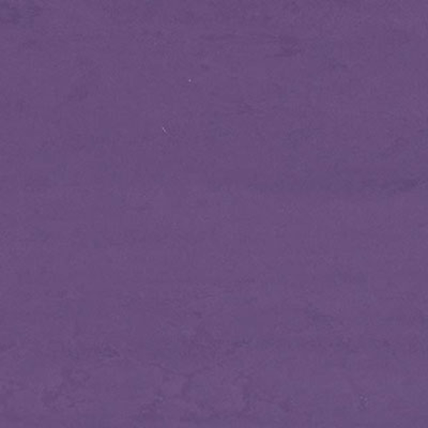 Picture of Altro - Dolce Essentials Basilica