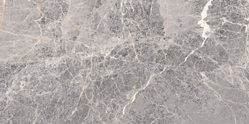 Picture of Florim USA - Epic 12 x 24 Polished Imperial