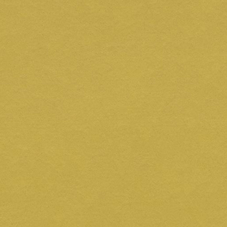 Picture of Forbo - Marmoleum Modular Color 10 x 20 Yellow Moss