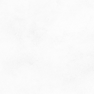 Picture of Emser Tile - Citizen 24 x 24 Matte Civilian