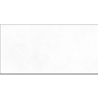 Picture of Emser Tile - Citizen 24 x 48 Matte Civilian