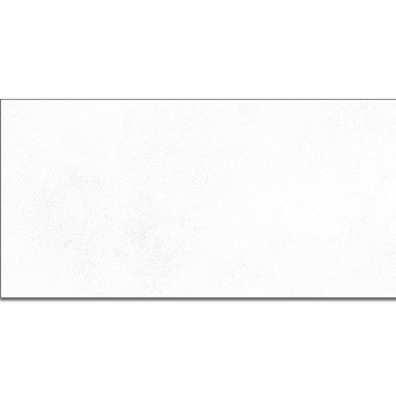 Picture of Emser Tile - Citizen 24 x 48 Matte Civilian