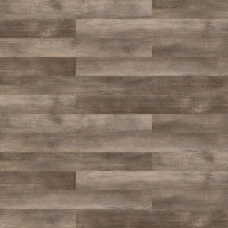 Picture of Patcraft - Timber Grove II 20MIL Aster