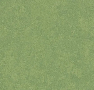 Picture of Forbo - Marmoleum Cinch Loc Seal 12 x 12 Leaf