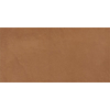 Picture of Daltile - Indoterra 12 x 24 Brick