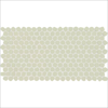 Picture of Daltile - Keystones Organic Peny Rounds Mint Ice