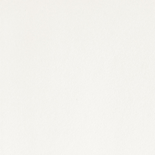 Picture of Stone Peak - Plane 30 x 30 Honed True White