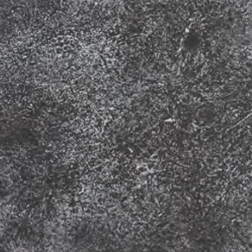 Picture of Daltile - Vintage Metals Fresco Whitewash Iron