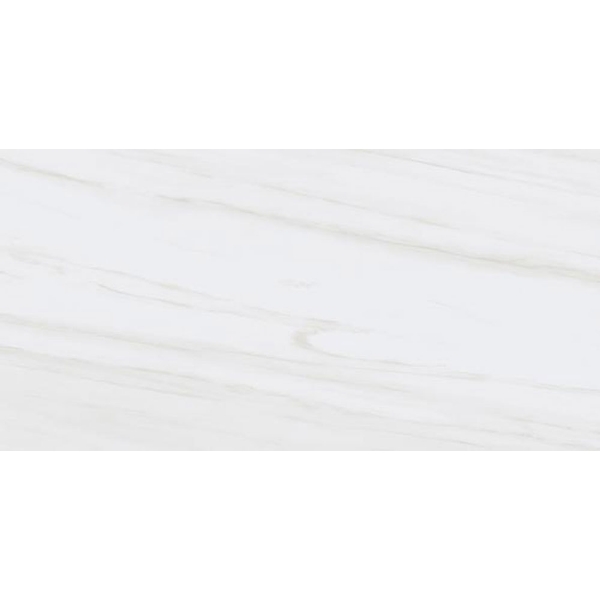 Picture of Tesoro - Adler 12 x 24 Dolomite Gris