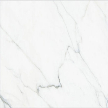 Picture of Happy Floors - Calacatta 24 x 24 Paver White