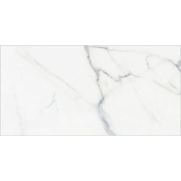 Picture of Happy Floors - Calacatta 24 x 48 Paver White